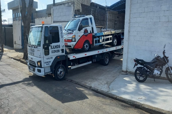 Ramos Guincho Piracicaba